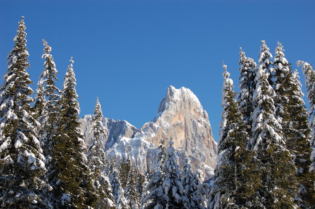 Natur Garni Alpino San Martino Di Castrozza Bagian luar foto